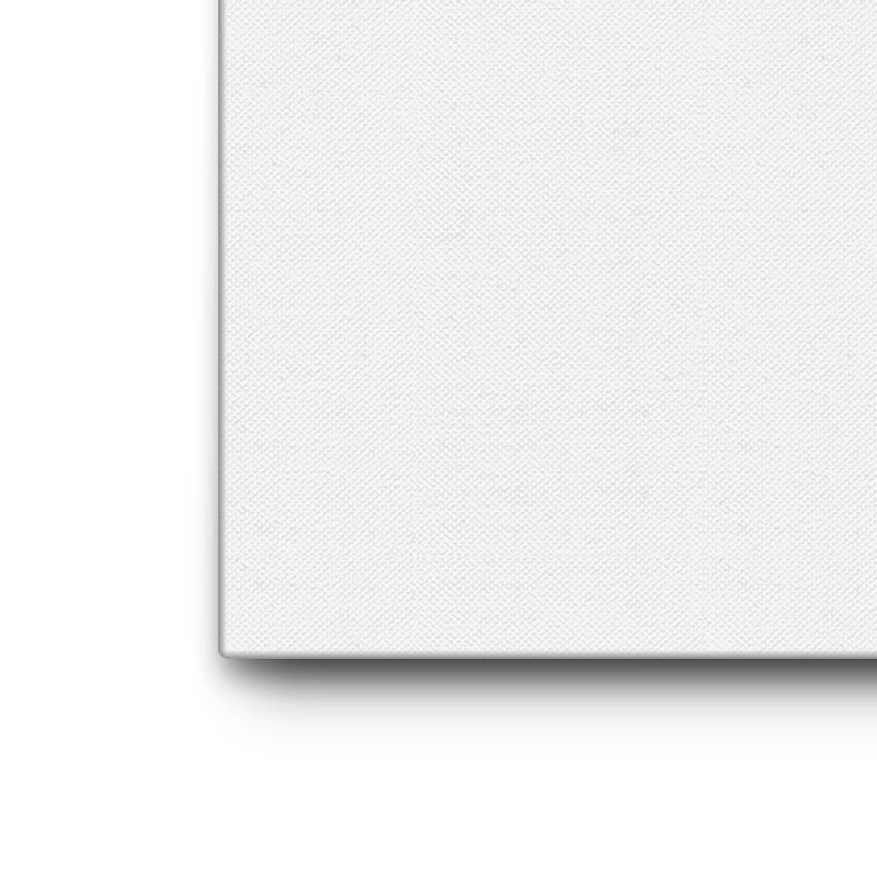 Canvas only